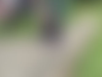 Year 1 Dolphins loved taking part in the Easter egg rolling competition.