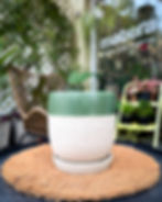 Maceta ceramica Huevito small Perpetuo Ceramica Matera Lima: ceramica Gres artesanal con plato incluido