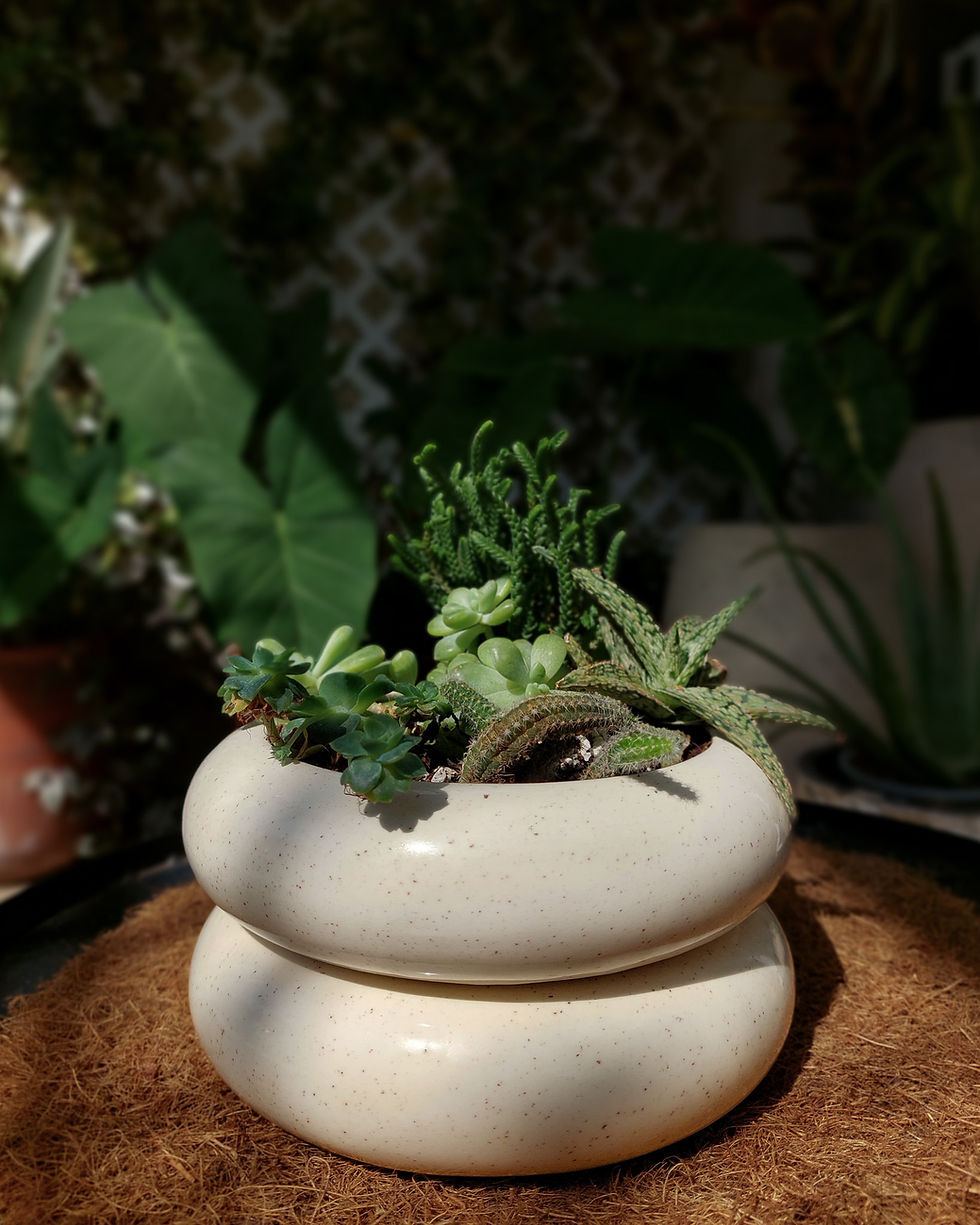 Miniatura: MACETA NIDO - ARENA