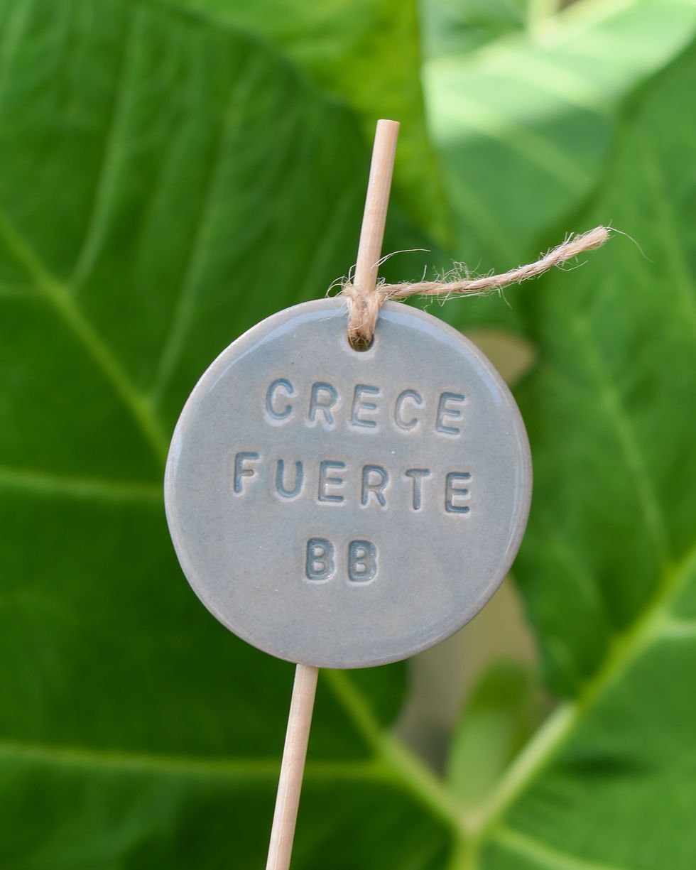 Miniatura: POP - CRECE FUERTE BB