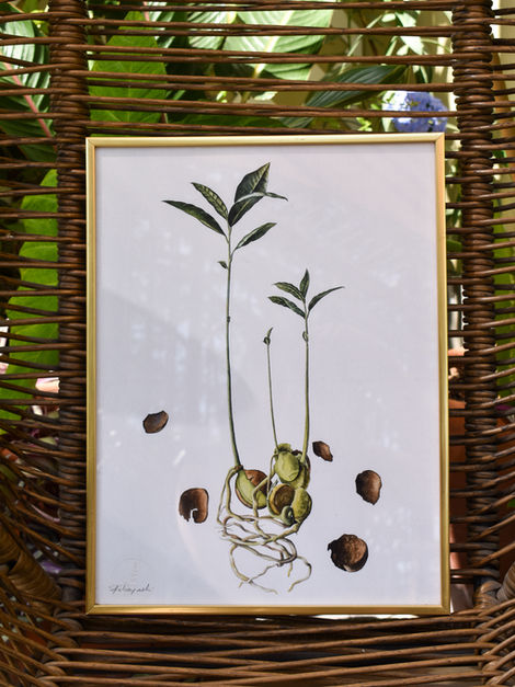 Print enmarcado de semilla de palta por Sachiko art