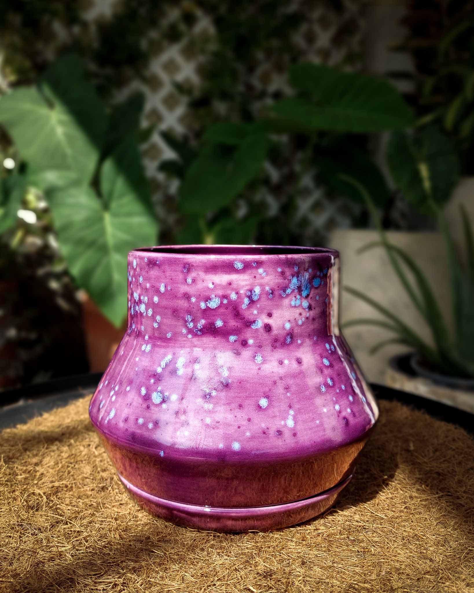 MACETA BROTE - MORADO