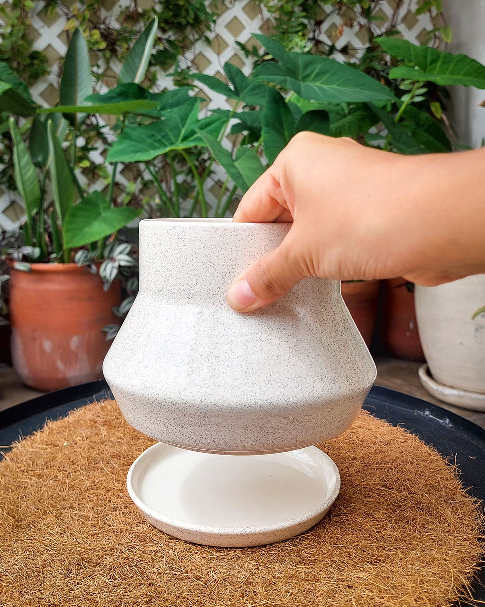 Miniatura: MACETA BROTE - BLANCO