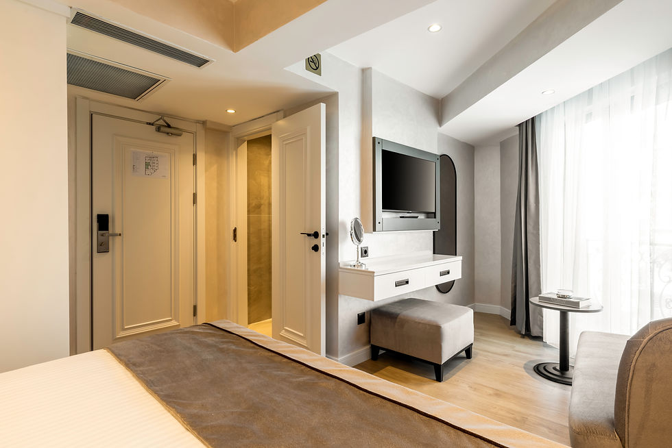 ONUR_KURU_ZALEL OLD CITY 1923.jpg