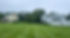 Milford Massachusetts Lawn Care