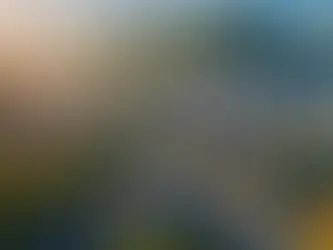 为什么人们选择在新山的关卡附近购买或投资房屋?投资那里的房产是否值得?新山地区的房价正在飙涨。