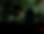 Copy of Conference Promos.png