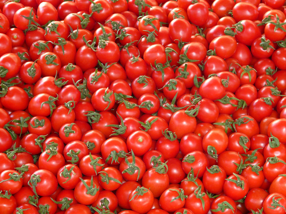 Bastano un microonde ed un pomodoro per avere nanostrutture di carbonio fluorescenti