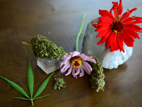 Legal Weed Delivery NYC: Order Cannabis Online Safelynabis Online Safely