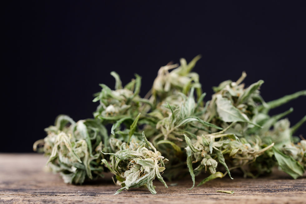 Tyson 2.0 Strains Delivered in Westchester County
