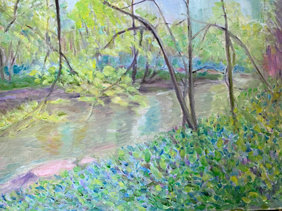 Virdginia Bluebells