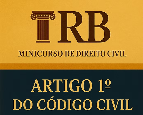 Mini curso de direito civil: Artigo 1º