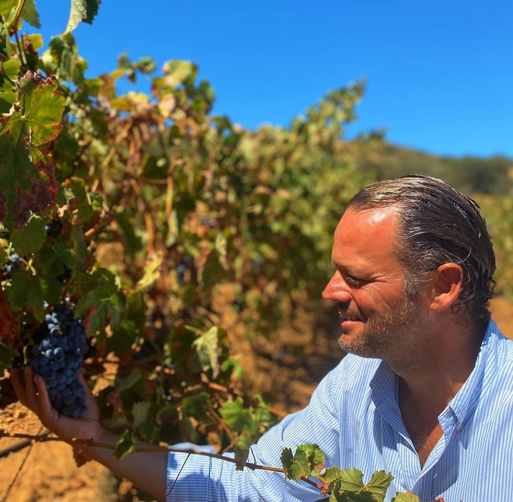 Alentejo Portugal Wine winemaking & winetasting - Herdade do Sobroso Wines