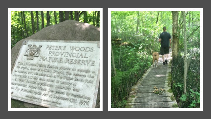 proof we were in the woods