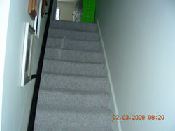 DSCN2359.jpg