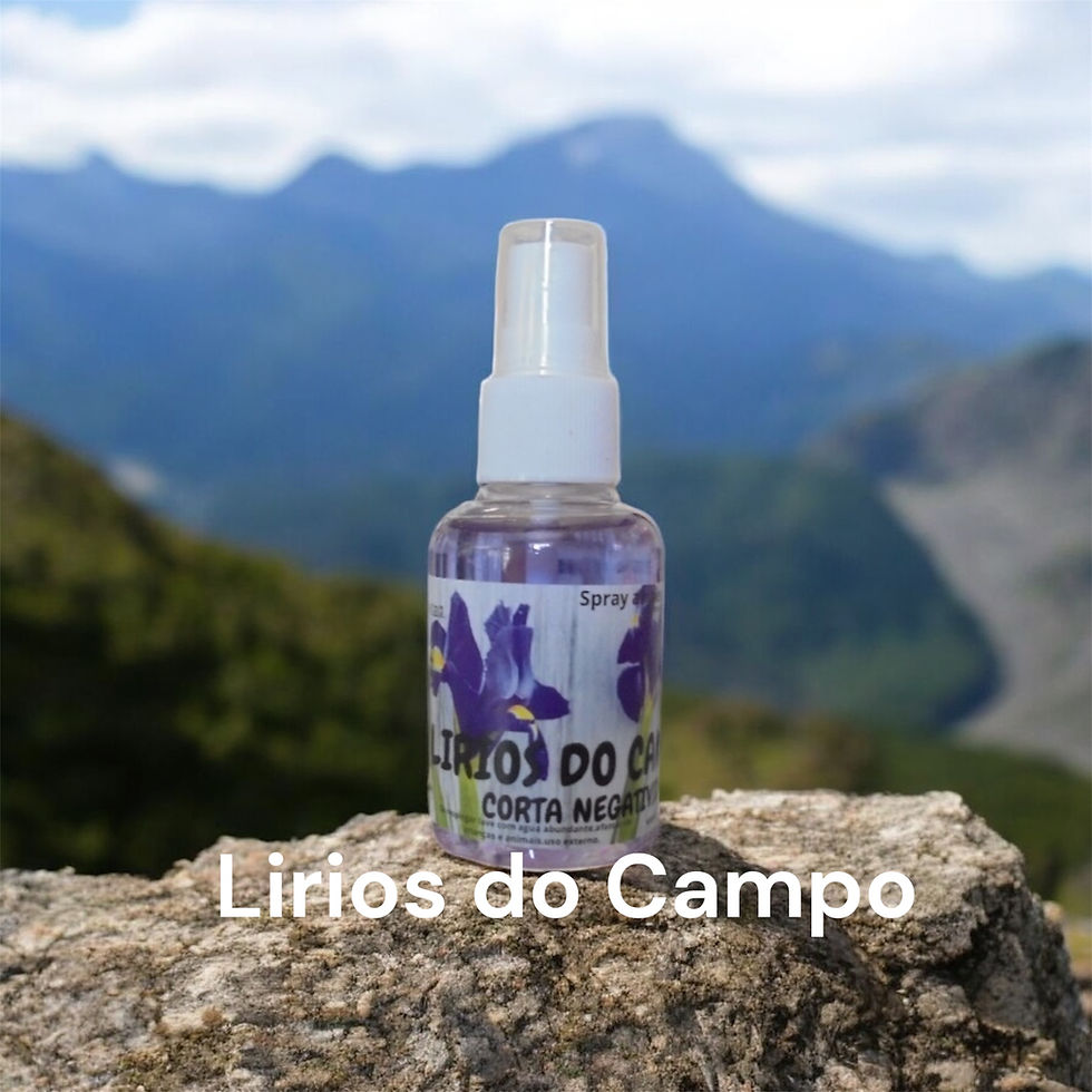 Spray ambientador Lírios do Campo