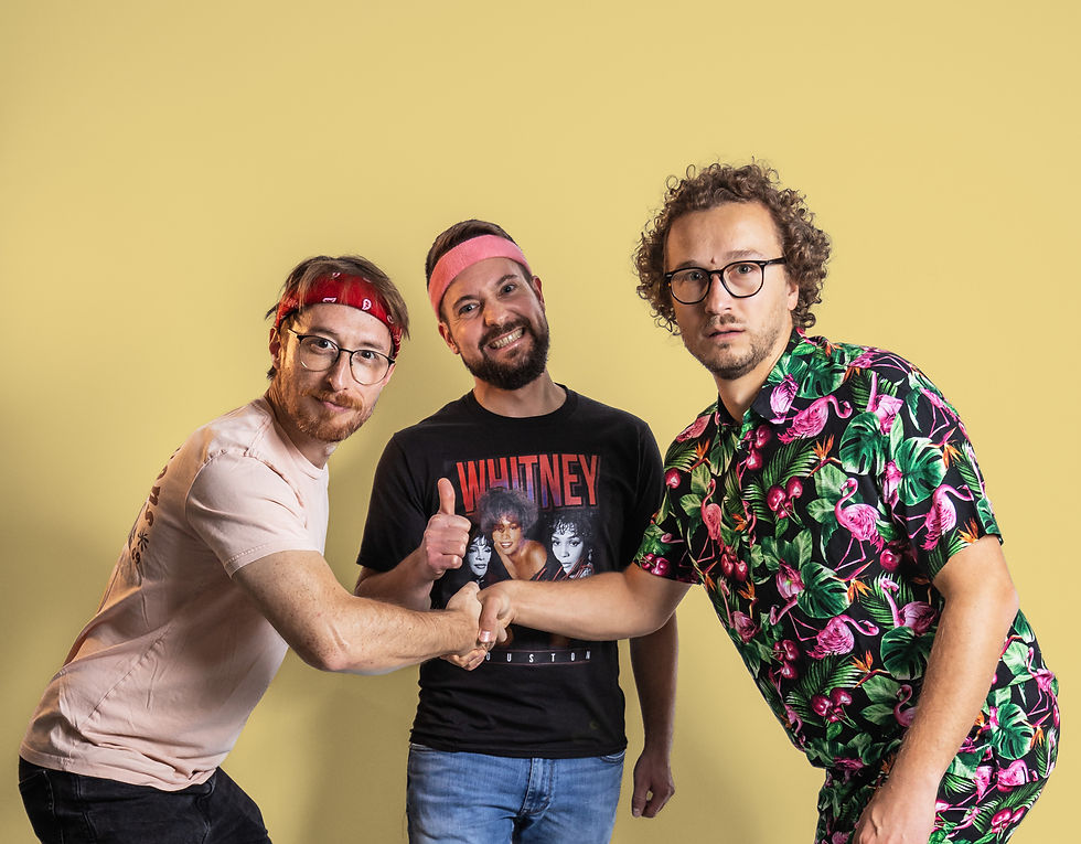 Steven Cole & The Sandwich Life