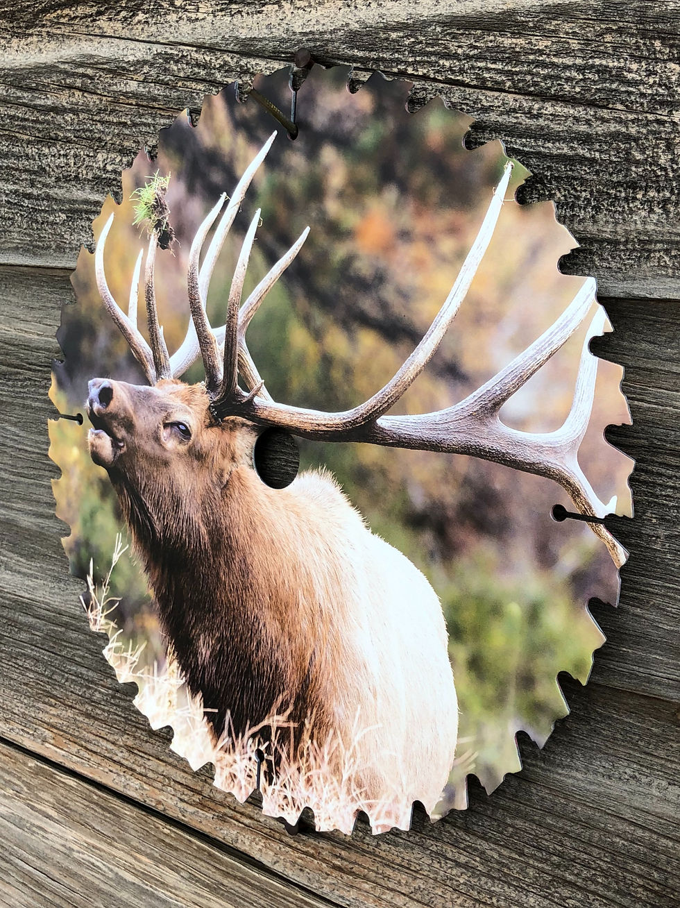 Thumbnail: Steel Saw Blade Print