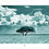 Thumbnail: Savanna Tree - Poster in kleur Groen - Landscape