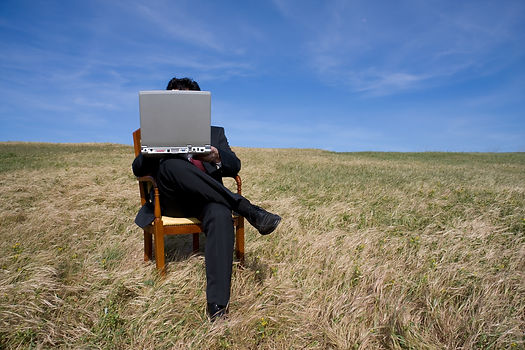 Foto man in het veld met laptop.jpg
