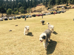 WhatsApp Image 2017-03-22 at 2.43.03 PM