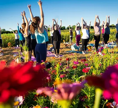 yoga flower field.webp
