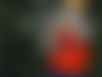 Is Syracuse already a wagon?