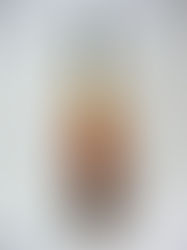 スピリッツ（蒸留酒）のスピリッツ（魂）を学ぶ（終了しました)