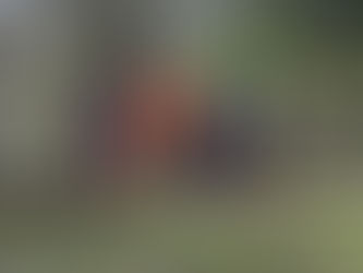 Un groupe d'enfants plante avec un agent communal