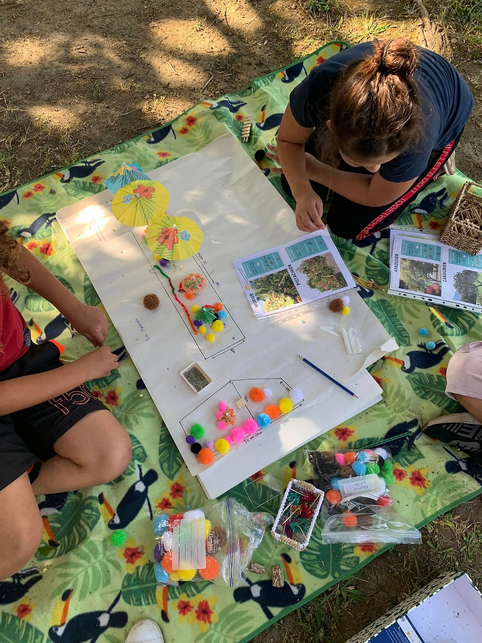 Réalisation de la maquette de plantation par les enfants 