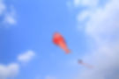 Thumbnail: Dolphin kite 