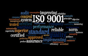 ISO 9001 Standard Article 1: Scope