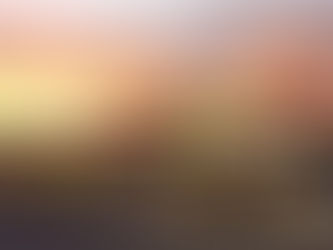 Job Opening in Rayville