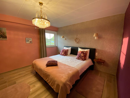 Tweepersoonskamer met privébadkamer en airconditioning in Gîte Le Chasselet