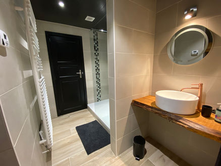Privébadkamer en airconditioning in Gîte Le Chasselet