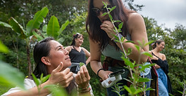 Verdesana Herbalism pic.jpg