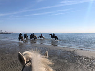 Feb. 2, 2024: Beach Ride at Penfield Beach