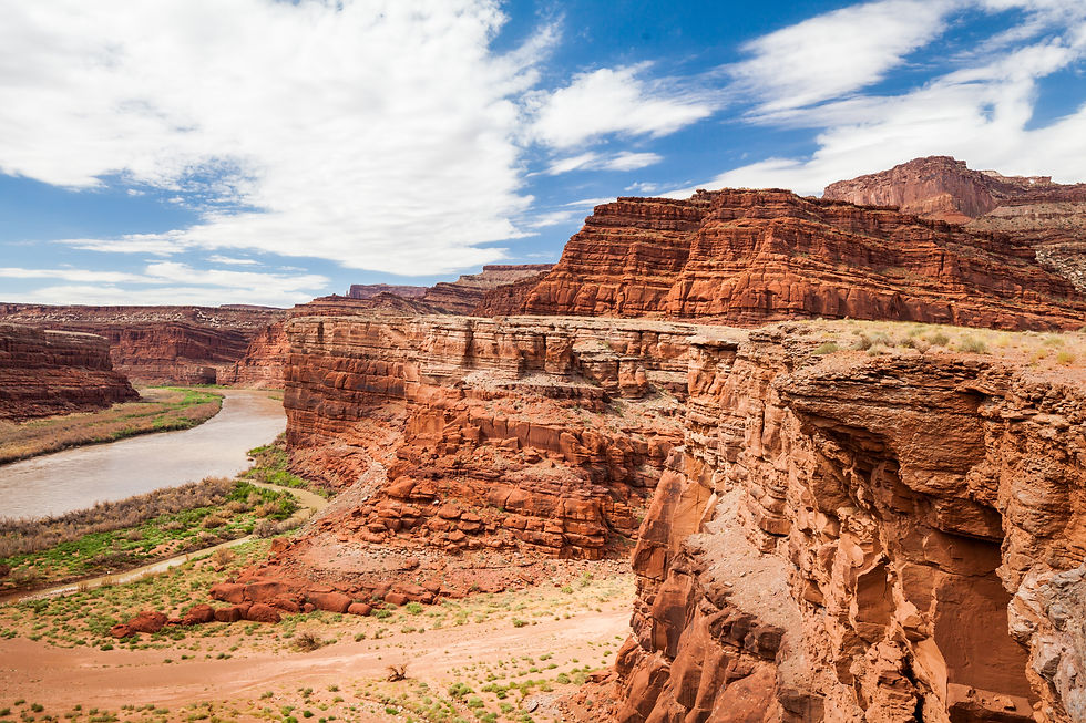 Thumbnail: 2026 White Rim Women's Bike Adventure | Moab, UT (deposit only due now)
