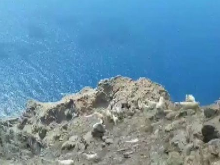 EOLIE, IL PIANO DELLA REGIONE PER LA CATTURA DELLE CAPRE SELVATICHE