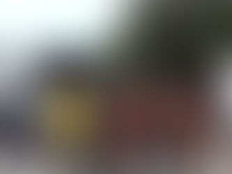 CORSE CLANDESTINE CAVALLI, 15 DENUNCE NEL MESSINESE.