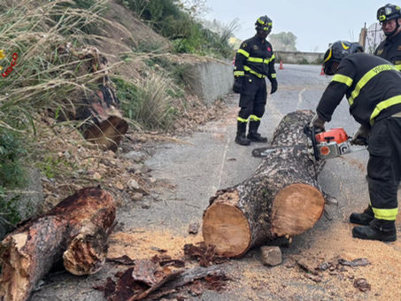 MESSINA, GLI INTERVENTI DEI VIGILI DEL FUOCO