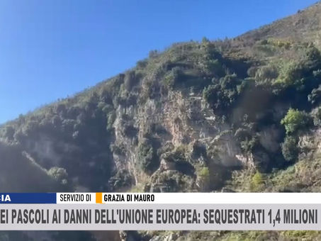 MESSINA, TRUFFA AI DANNI DELL’UNIONE EUROPEA: SEQUESTRATI: 1,4 MILIONI DI EURO