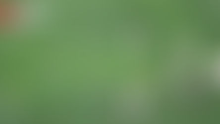 DISASTRO MESSINA, L’ENNA NE FA CINQUE NELLO SCONTRO SALVEZZA