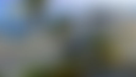 MESSINA, GUARDIA DI FINANZA CONTROLLI NEI LOCALI CONTRO LO STREAMING ILLEGALE