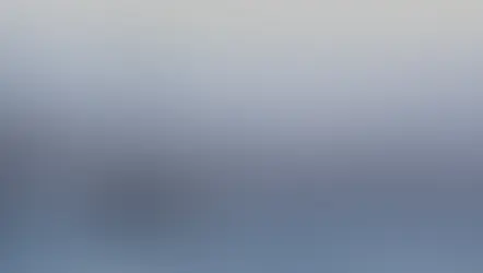 PESCA, REGIONE INVESTE NELLA VALORIZZAZIONE DELLE FELUCHE DELLO STRETTO