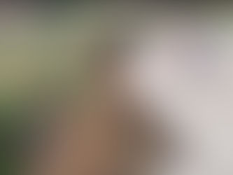 MASSE, ANCORA UN CROLLO SULLA STRADA PROVINCIALE: RISCHIO ISOLAMENTO