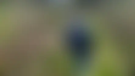 PROVINCIA, TUTTI GLI INTERVENTI DELLA POLIZIA METROPOLITANA A MILAZZO