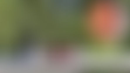 MILAZZO, OMICIDIO ITALIANO AL VIA NUOVI ACCERTAMENTI SUI REPERTI