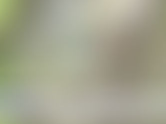 CASO CINTURRINO, È DI ALI' TERME IL POLIZIOTTO FINITO AL CENTRO DELLO SCANDALO DI ROGOREDO