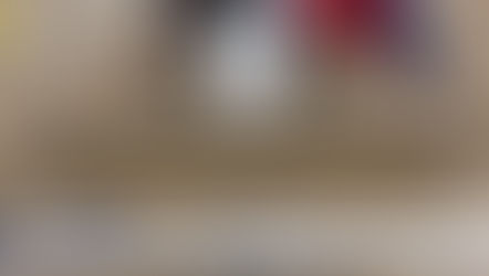 MESSINA, MERCE CONTRAFFATTA MAXI BLITZ NEL RIONE DI GIOSTRA